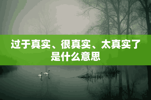 过于真实、很真实、太真实了是什么意思